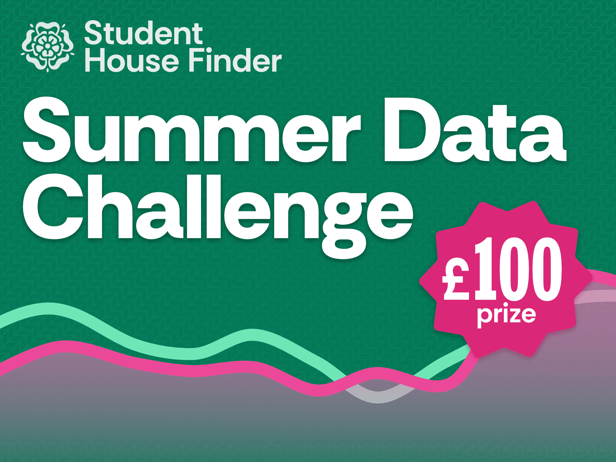A logo for the Summer Data Challenge, featuring an abstract graph